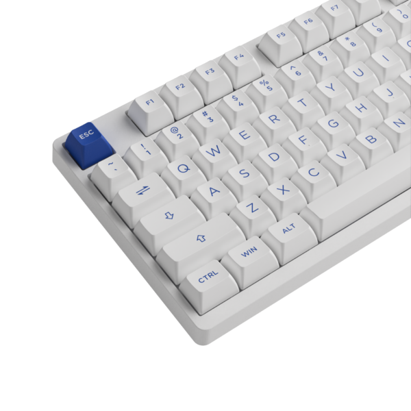 Akko 3098N Blue on White - Image 4
