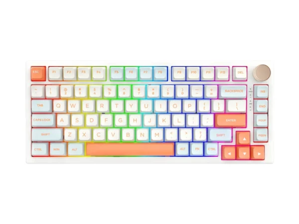 VGN N75 Pro Wireless RGB Mechanical Keyboard